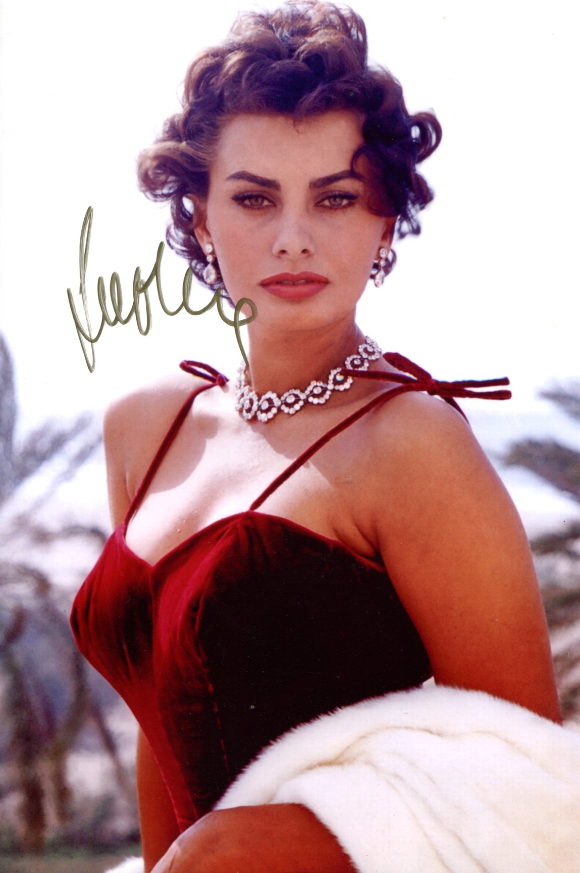 Sophia Loren Autograph Autogramm | ID 15579565851005
