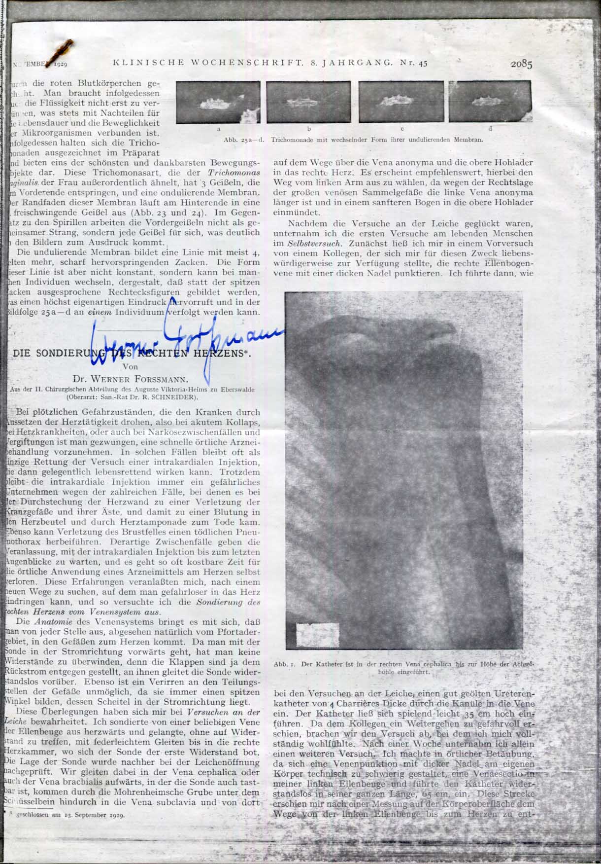 Werner Forßmann Autograph