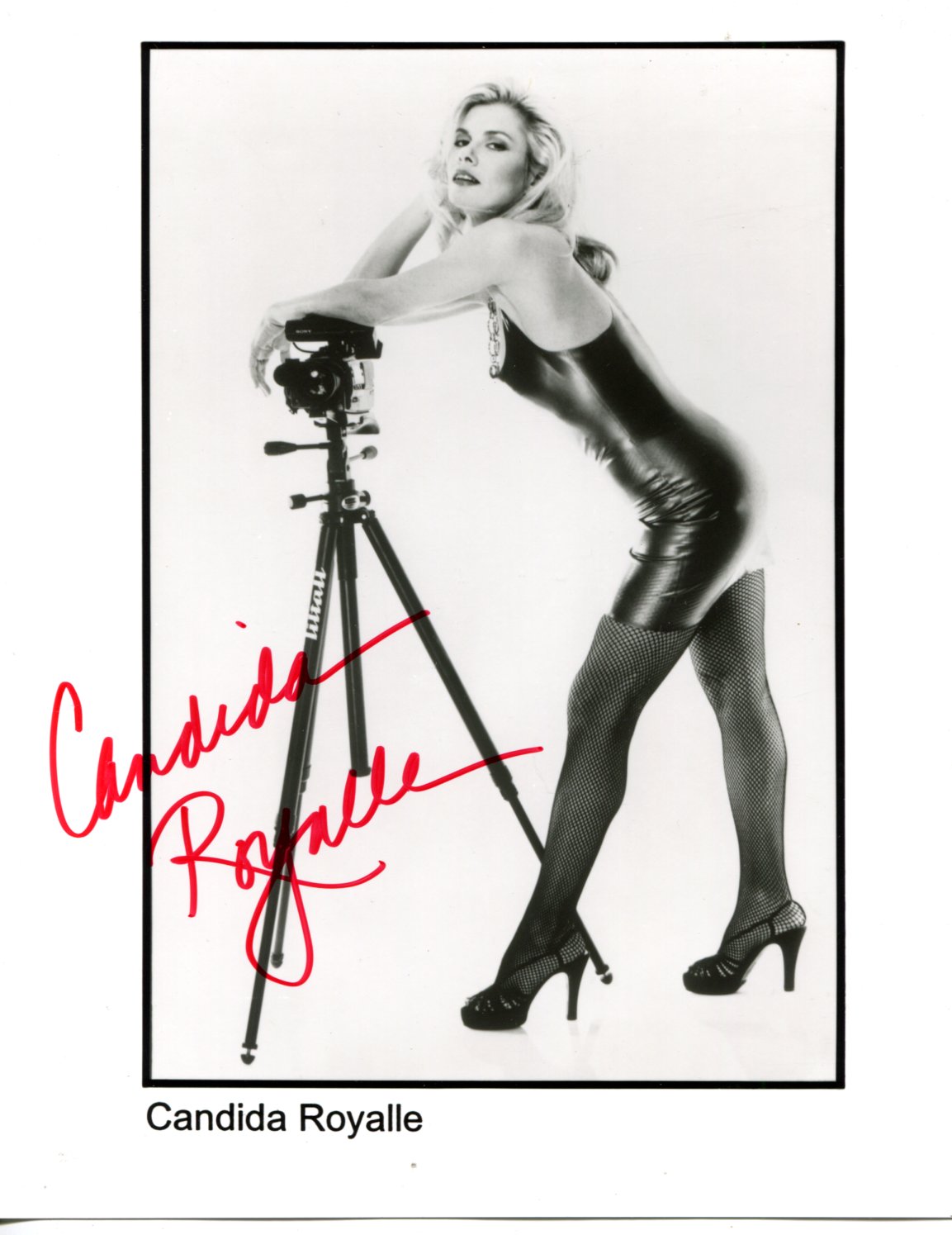 Candida Royalle Autograph Autogramm | ID 15761000628605