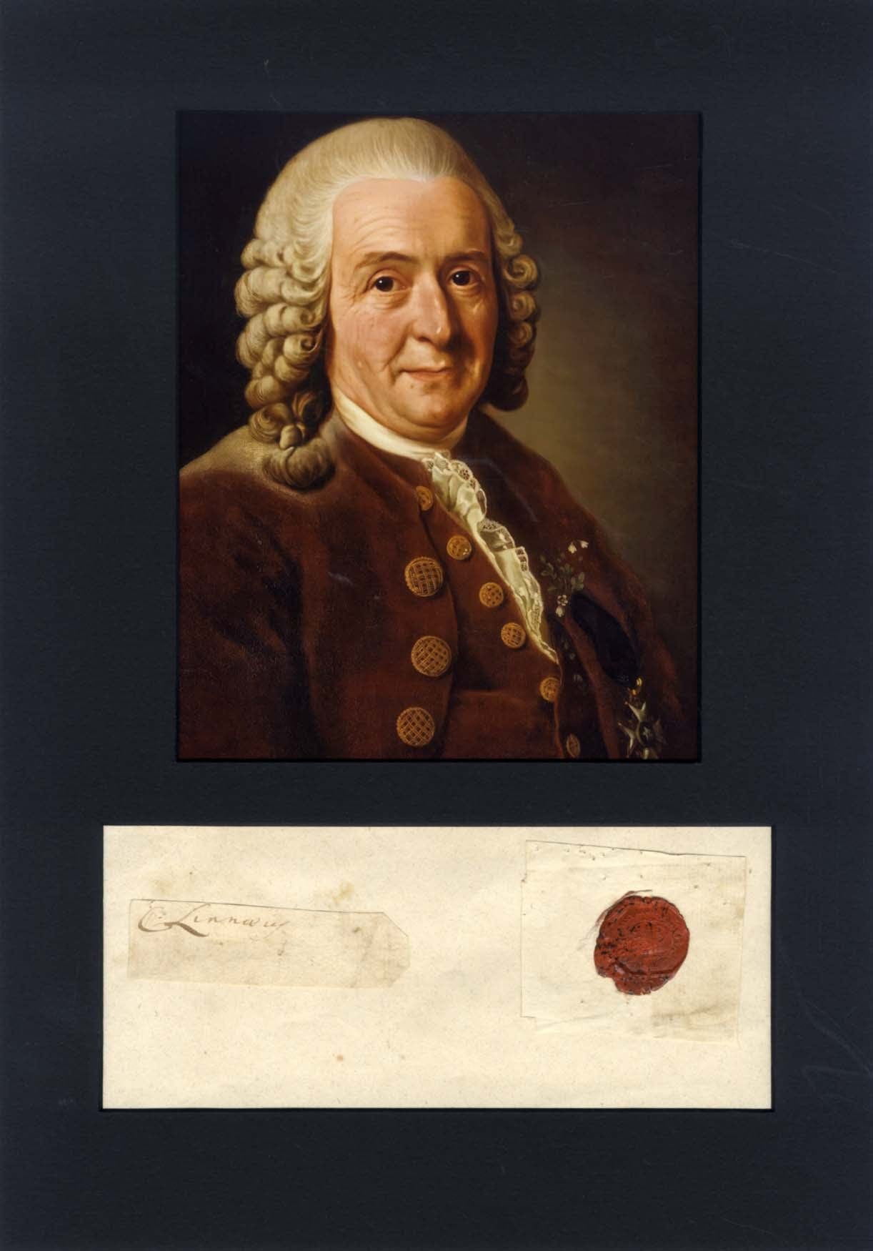 Carl Linnaeus Autograph Autogramm | ID 15064582848893