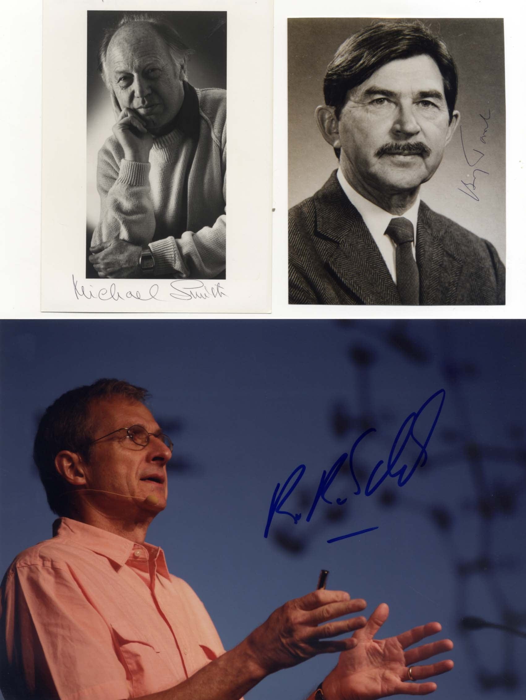 Brockhouse & Fert & Hell & Herzberg & Kobilka & Mulliken & Shechtman & others Autograph Autogramm | ID 8081158537365