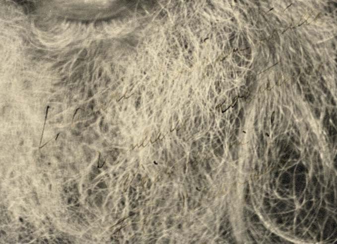 Frans Emil Sillanpää Autograph Autogramm | ID 14939531673981