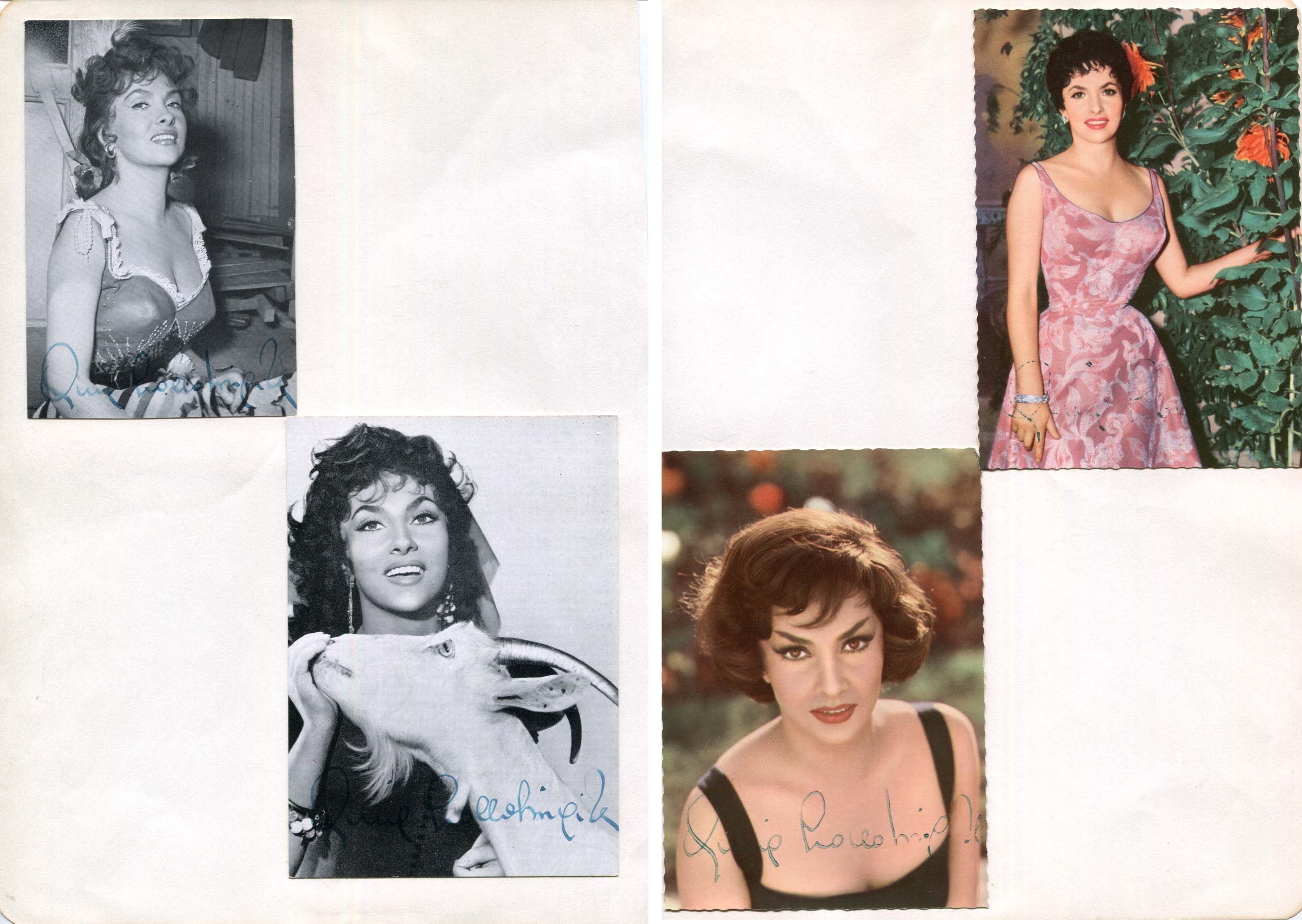 Gina Lollobrigida Autograph Autogramm | ID 7993144672405