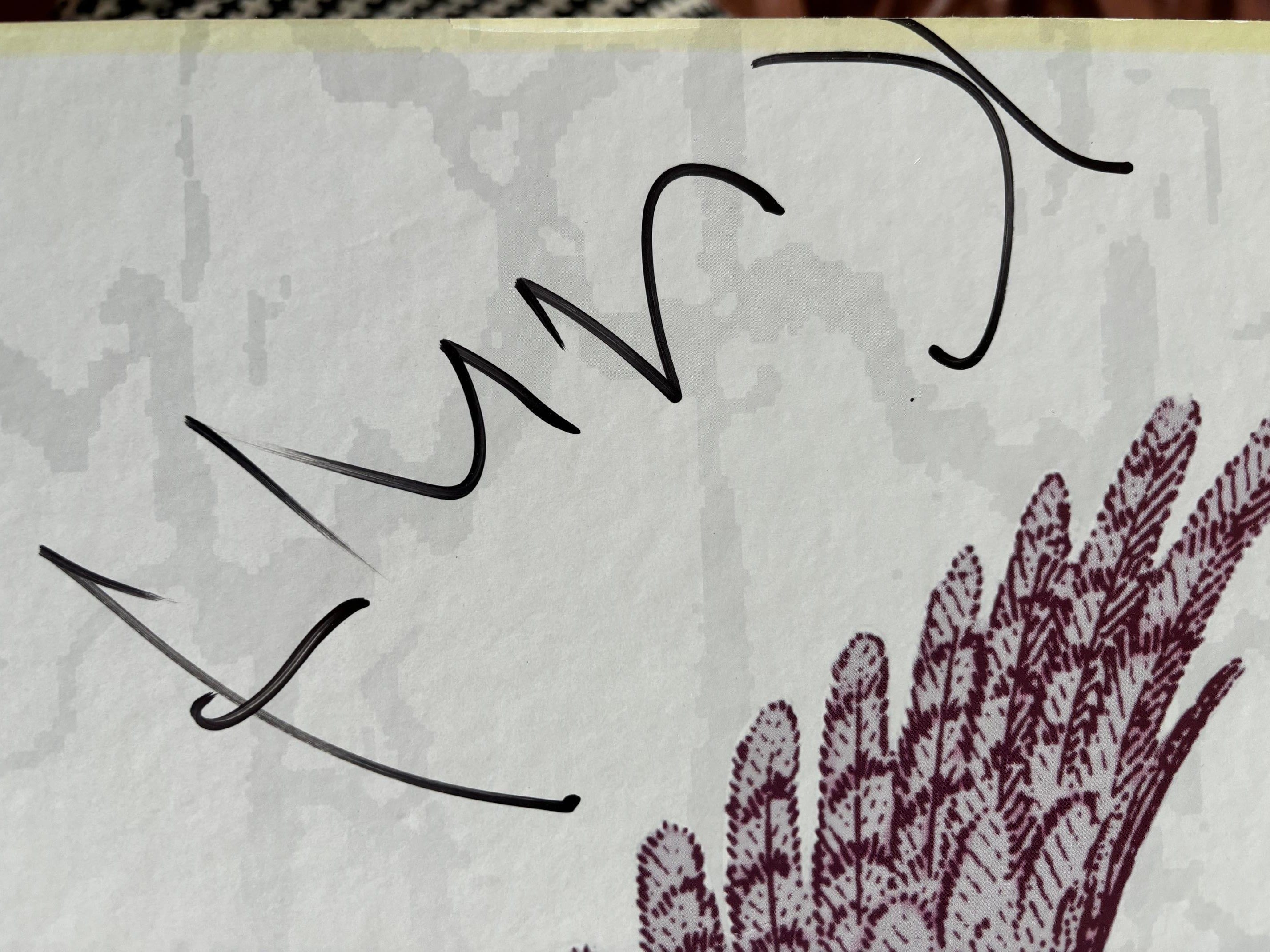 Nirvana Autograph Autogramm | ID 14833930895741