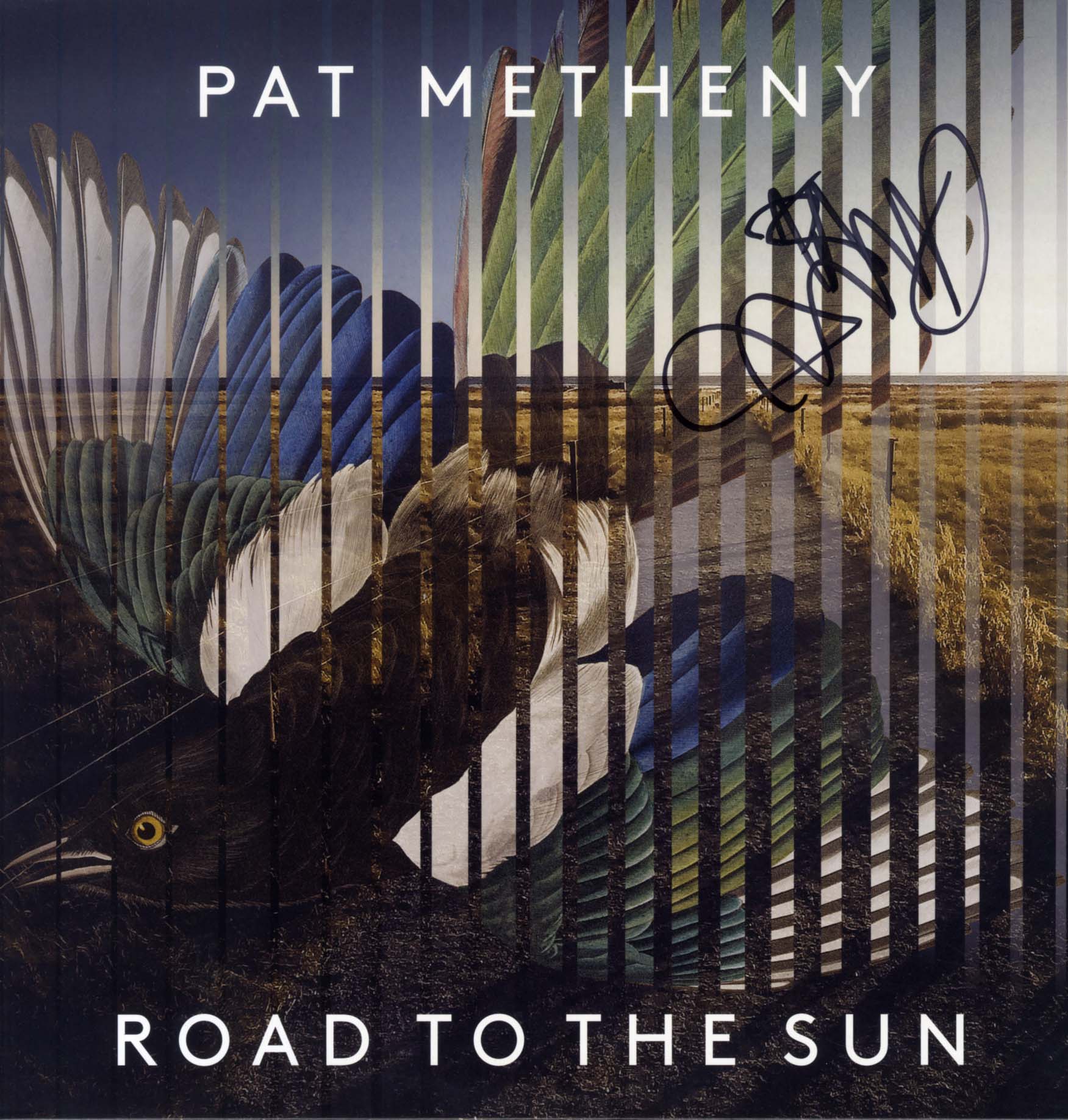 Pat Metheny Autograph Autogramm | ID 8521391243413