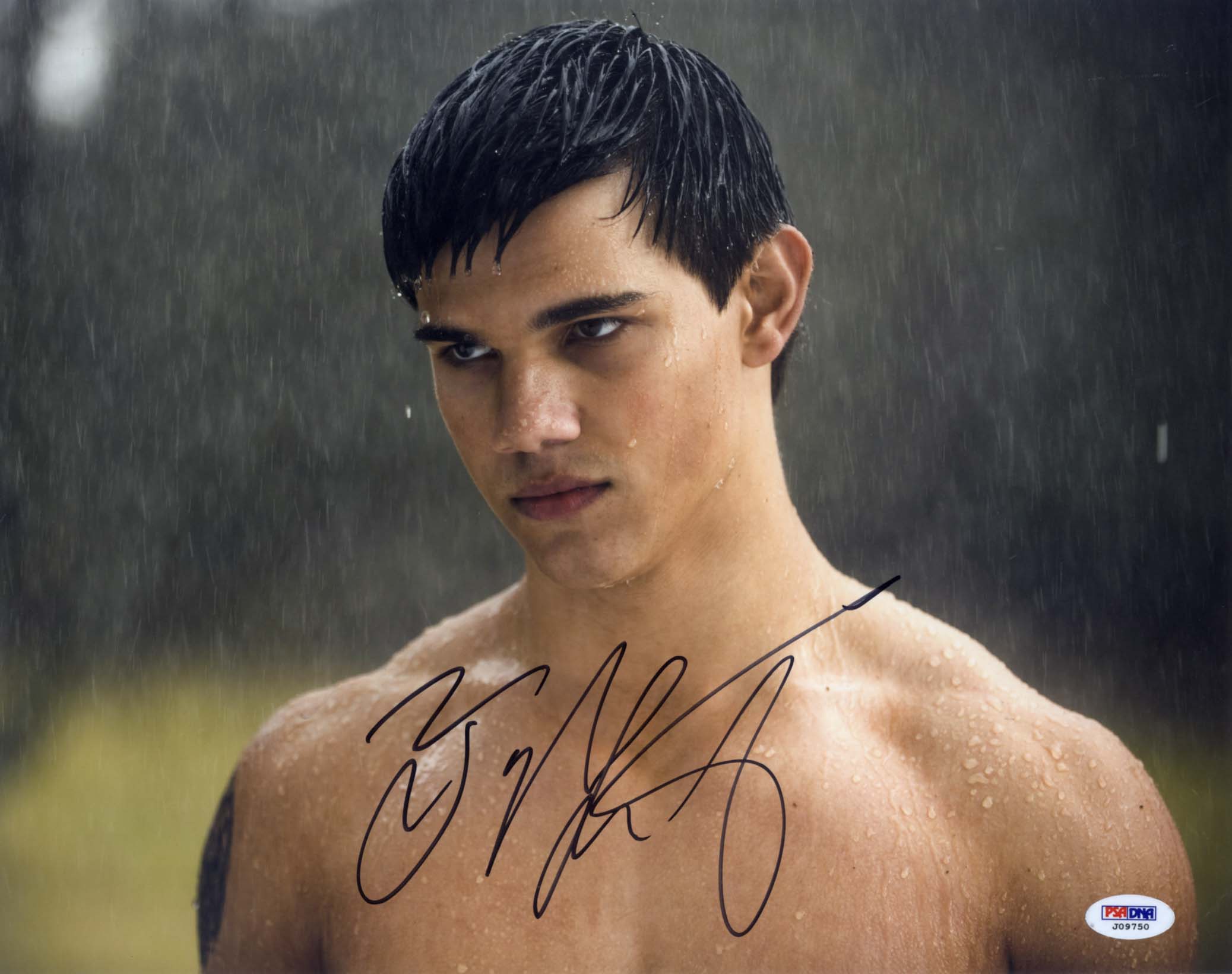 Robert & Kristen & Taylor Pattinson & Stewart & Lautner Autograph Autogramm | ID 8296363458709