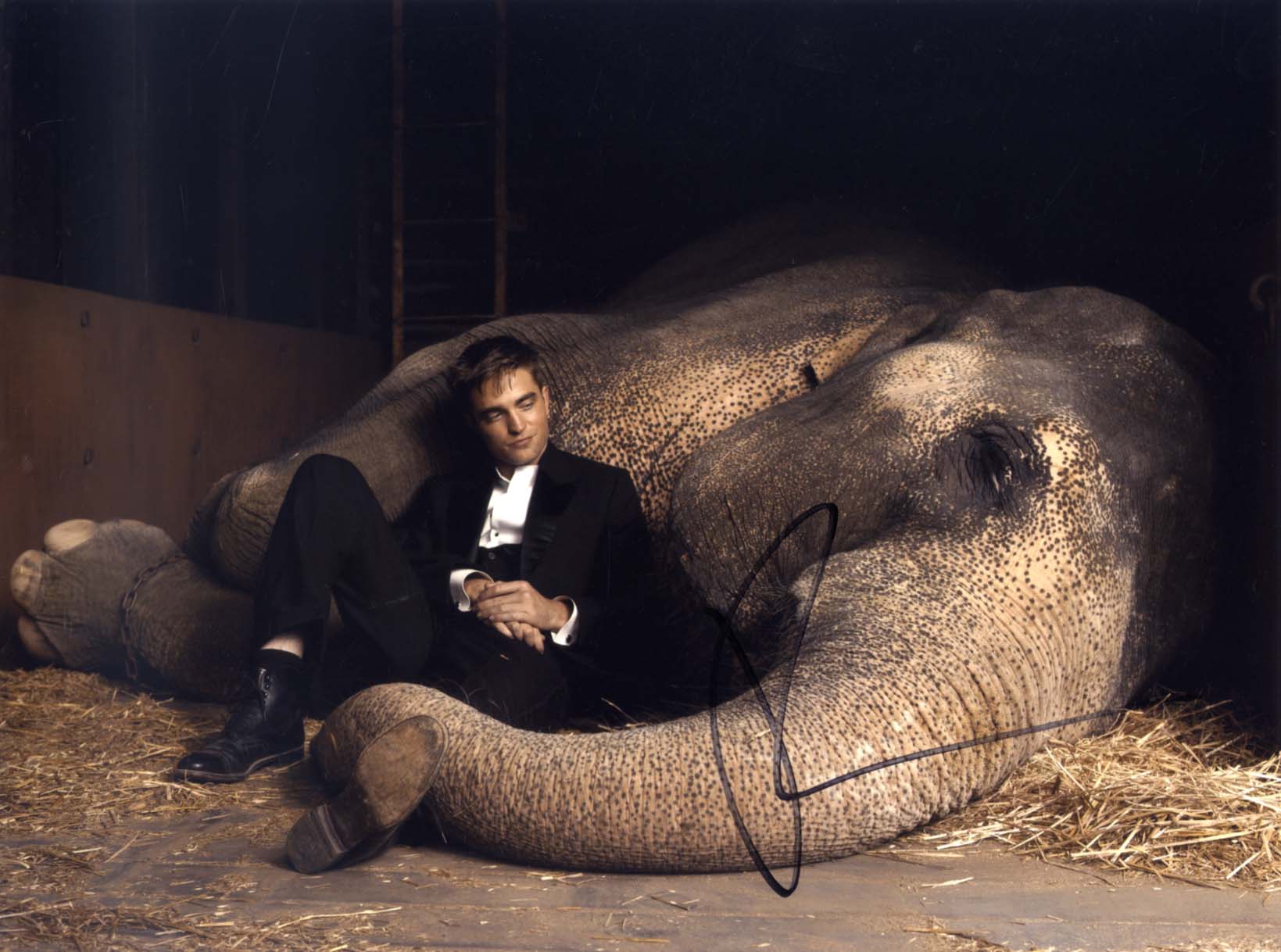 Robert Pattinson Autograph Autogramm | ID 15188492681597