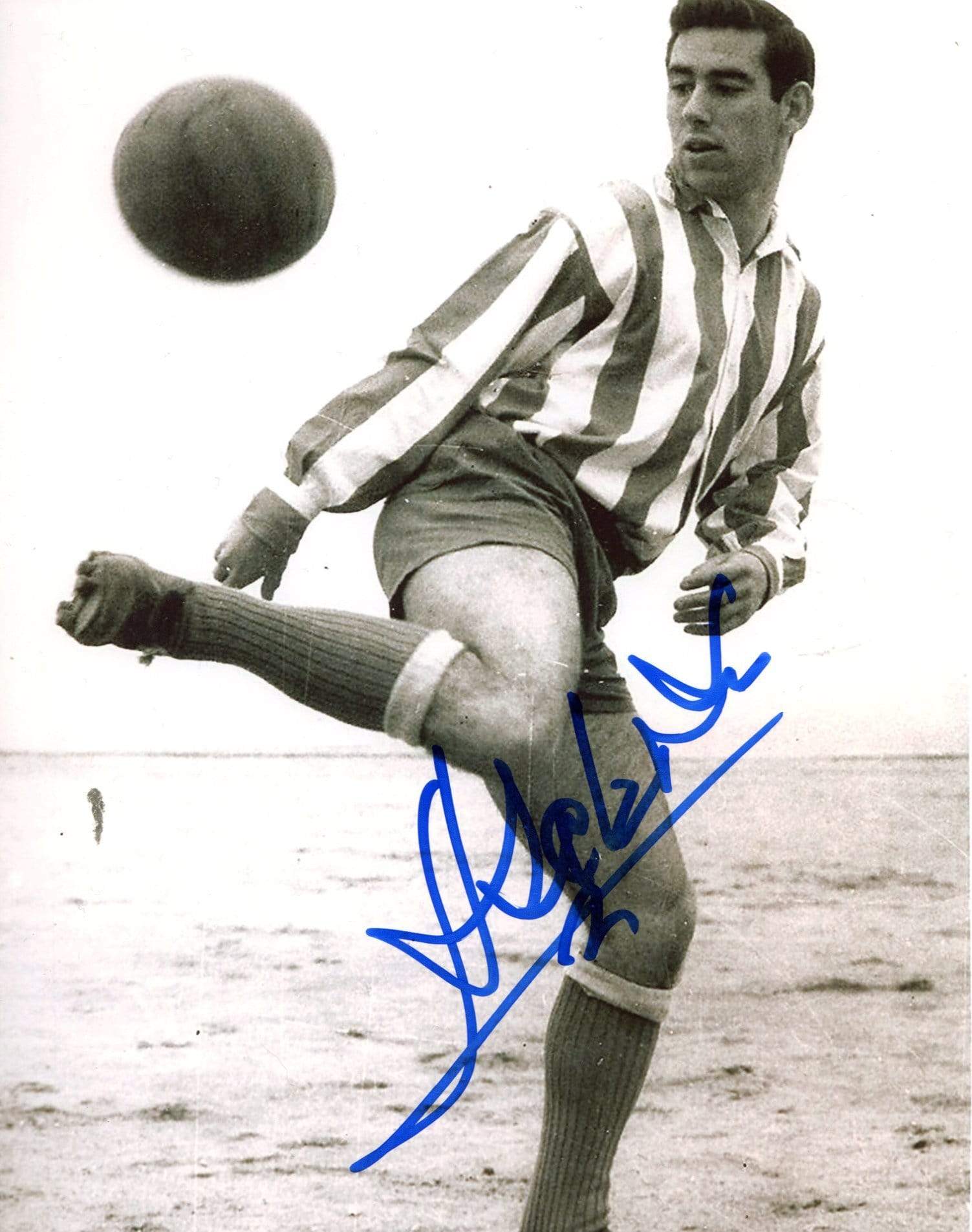 Rodriguez, Adelardo autograph