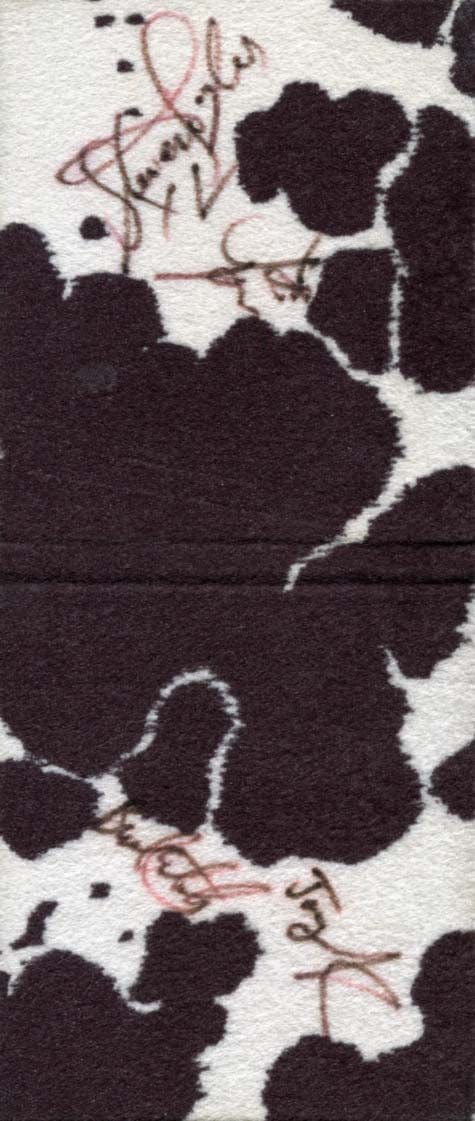 Aerosmith Autograph Autogramm | ID 7370345054357