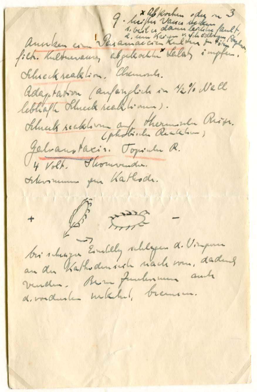 von Frisch, Karl autograph