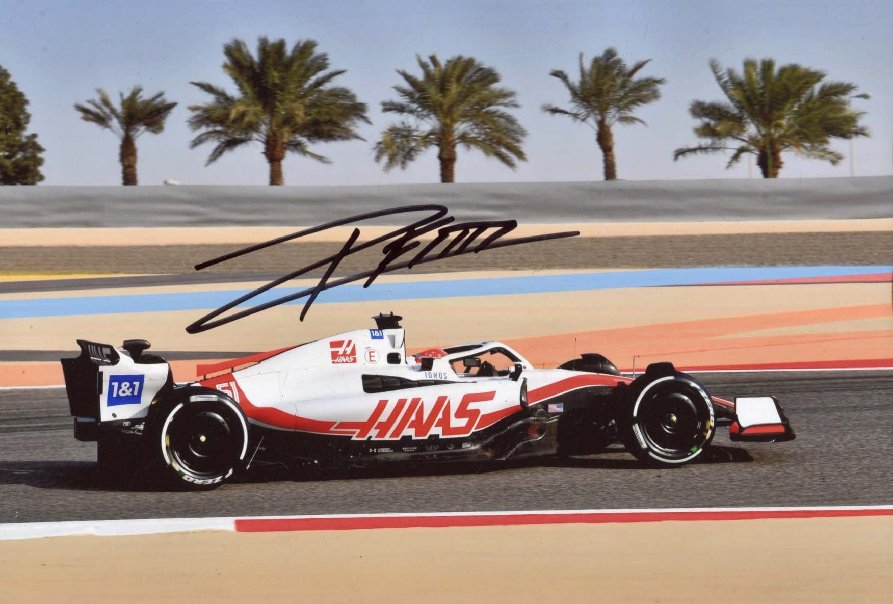 Pietro Fittipaldi da Cruz Autograph Autogramm | ID 7565093798037