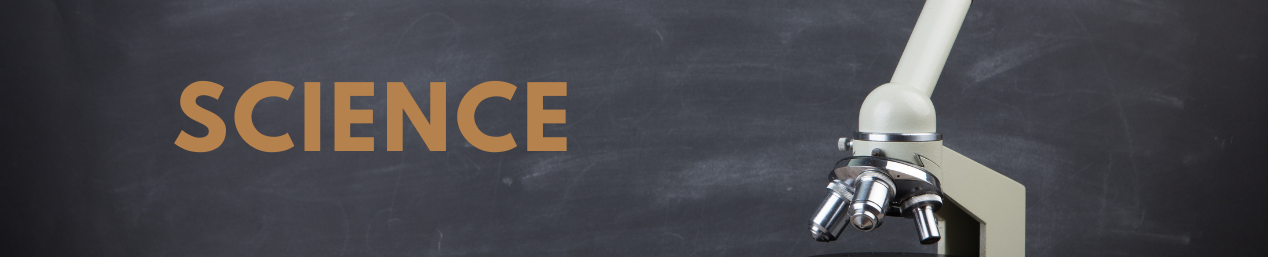 Others autographs, signed photos, autographed letters and manuscripts