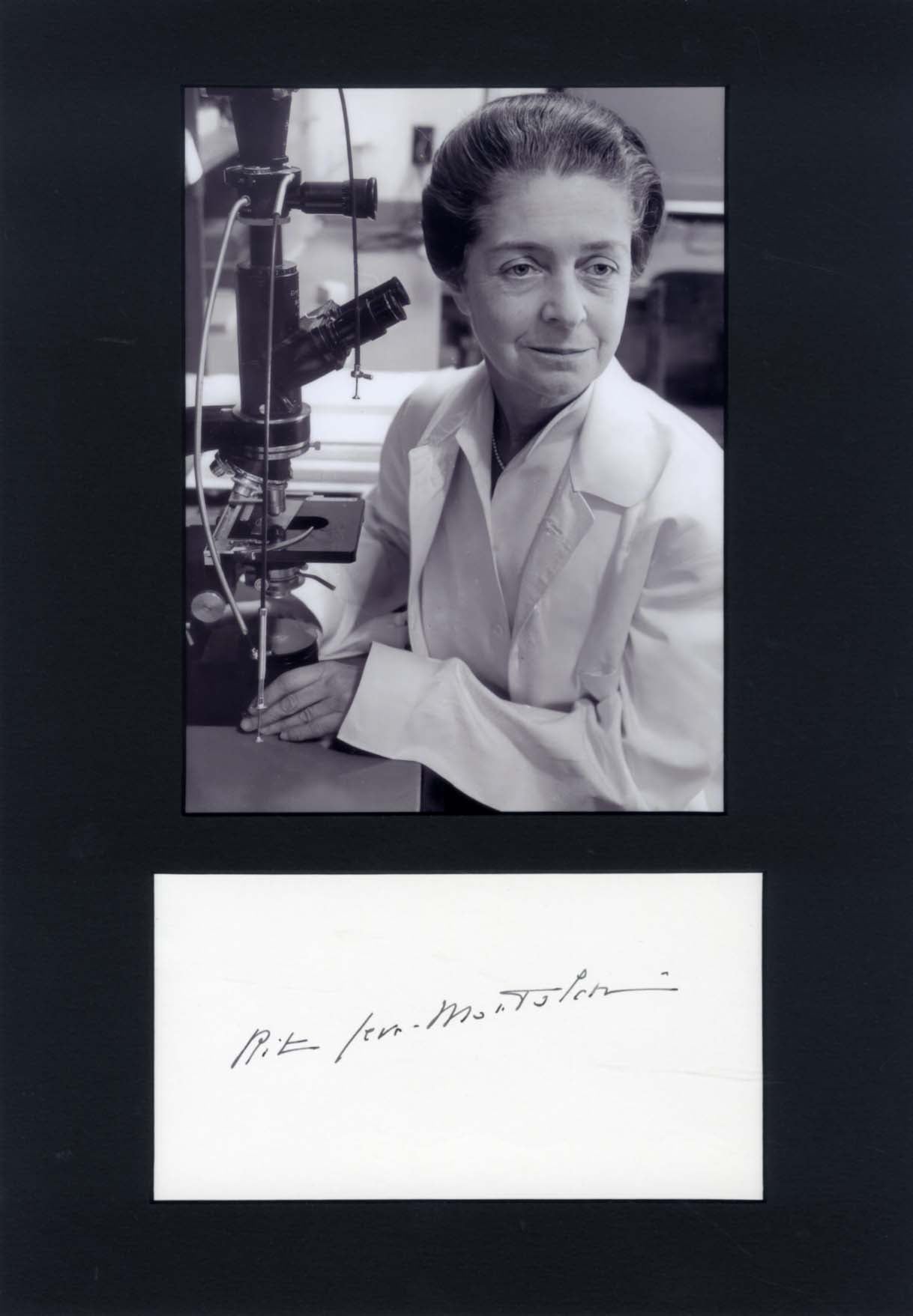 Rita Levi-Montalcini Autograph Autogramm | ID 14667923489149