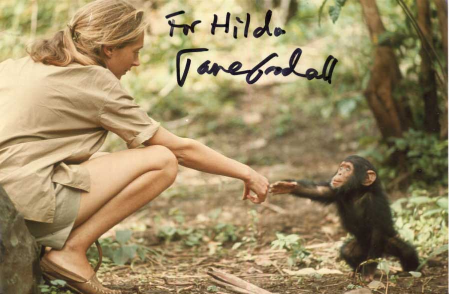 Jane Goodall Autograph Autogramm | ID 15699864846717