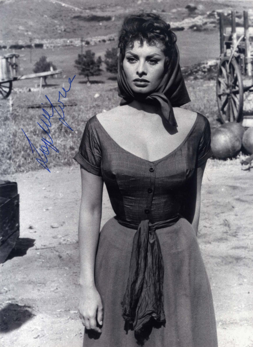 Sophia Loren Autograph | signed photographs
