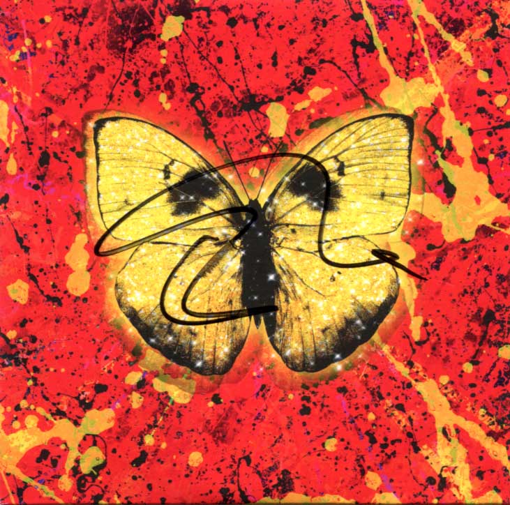 Ed Sheeran Autograph Autogramm | ID 15818349969789