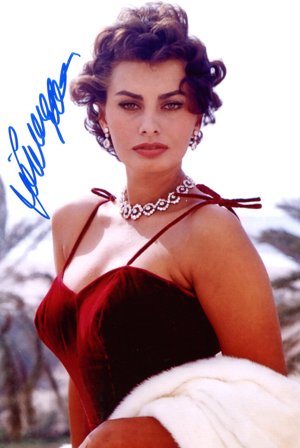 Sophia Loren Autograph Autogramm | ID 15895263510909