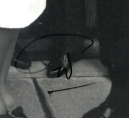 Mohammed Zahir Shah Autograph