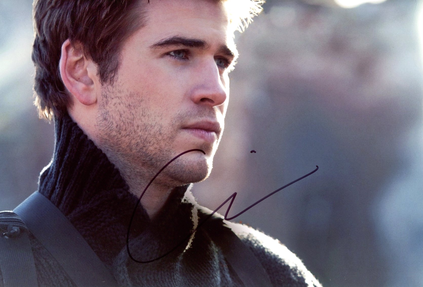 Liam Hemsworth Autograph