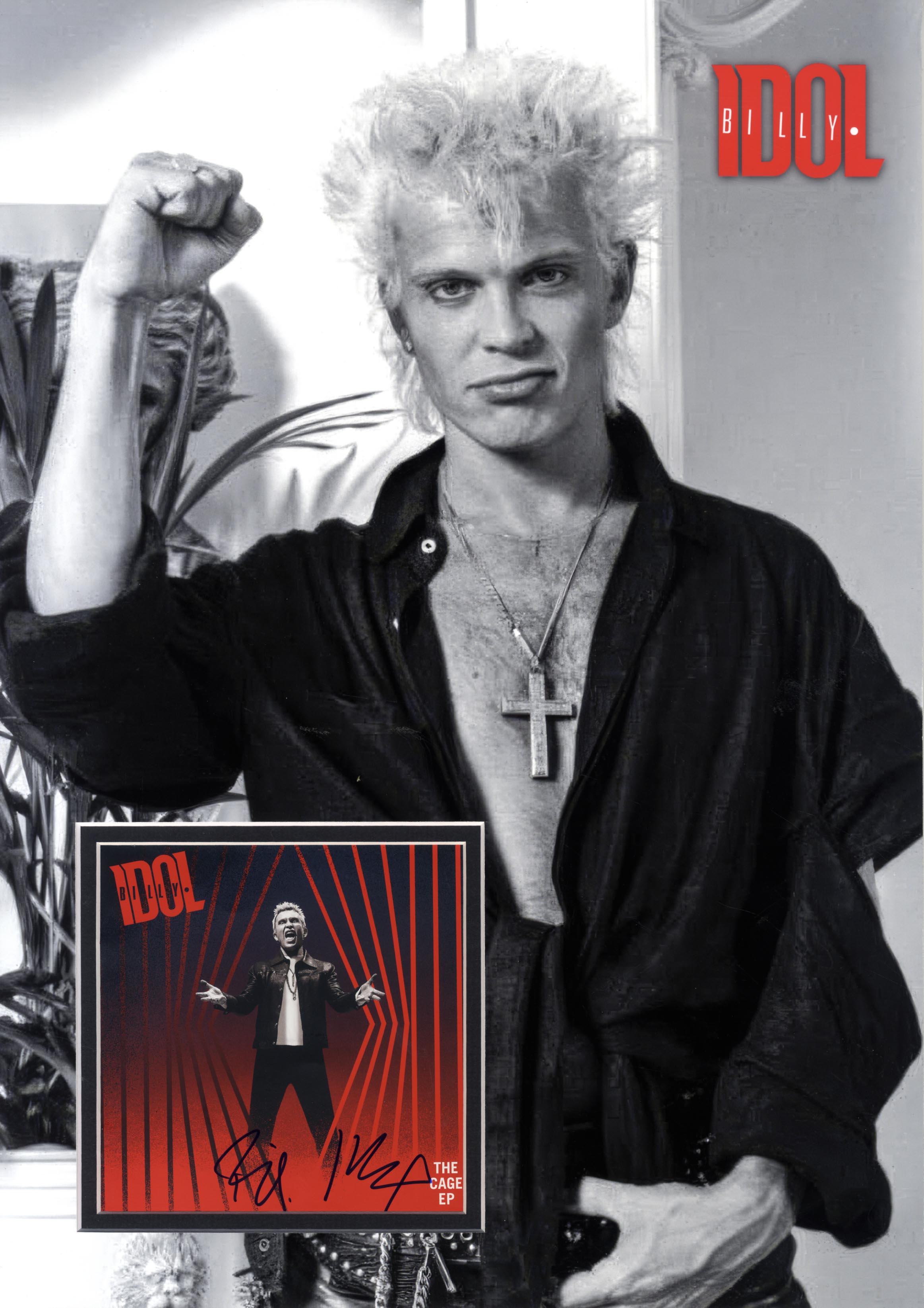 Billy Idol Autograph Autogramm | ID 15968726516093