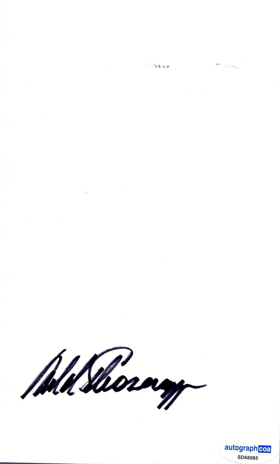 Arnold Schwarzenegger Autograph Autogramm | ID 15976546533757