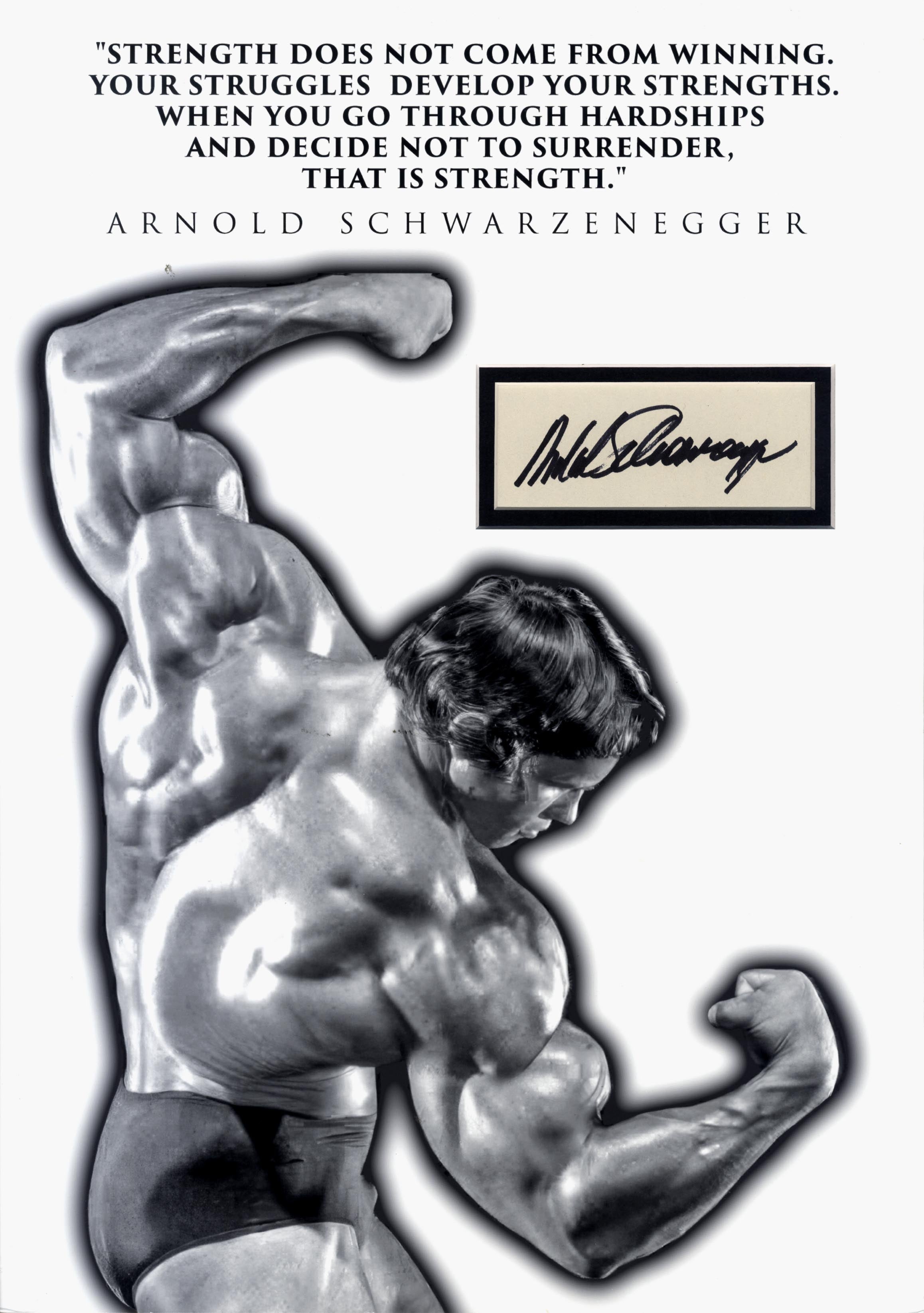 Arnold Schwarzenegger Autograph Autogramm | ID 15987697090941