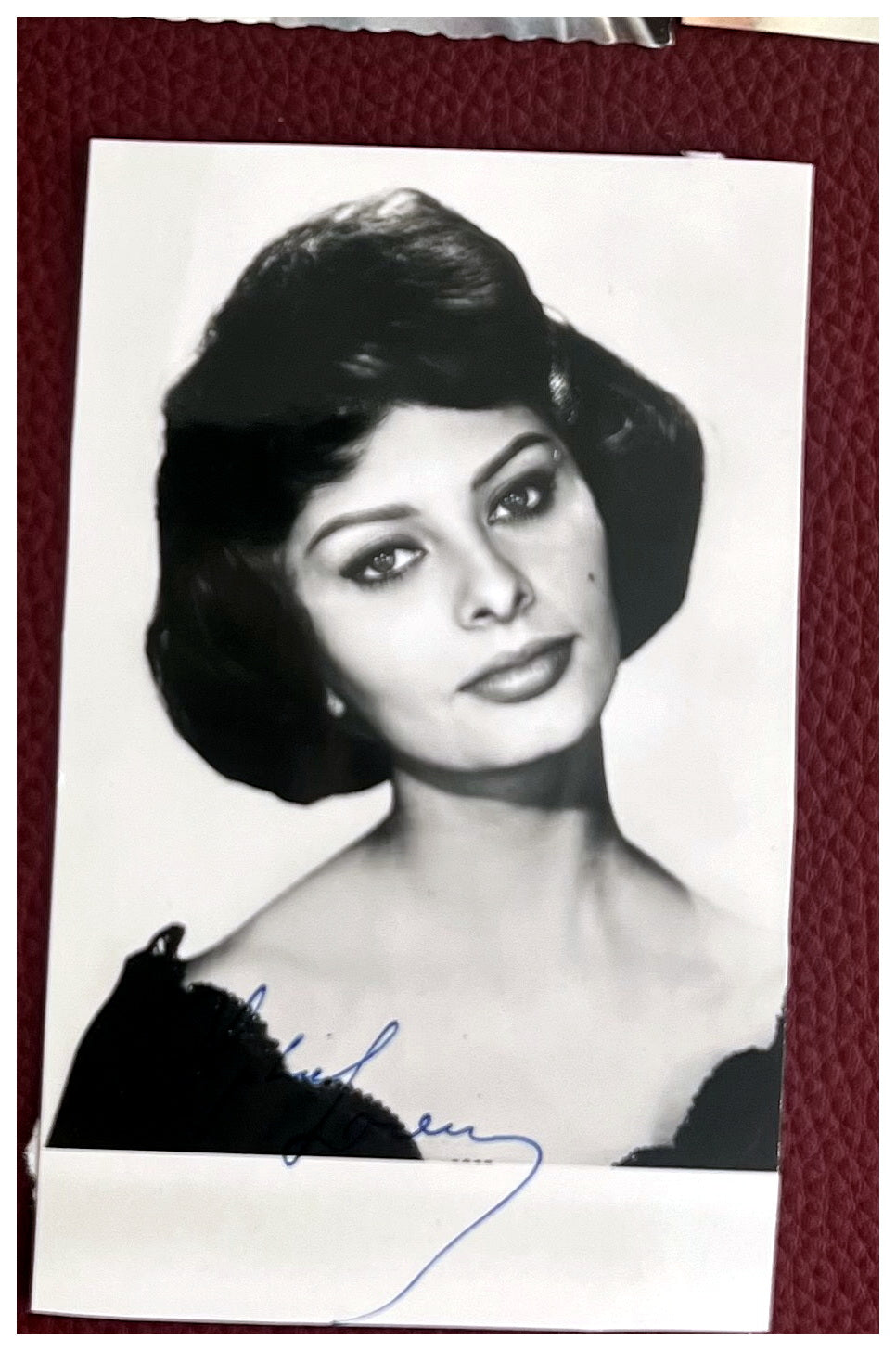 Autograph Autogramm | ID 15990355984765