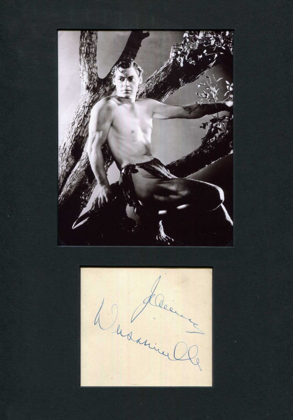Johnny Weissmüller Autograph Autogramm | ID 15998682988925