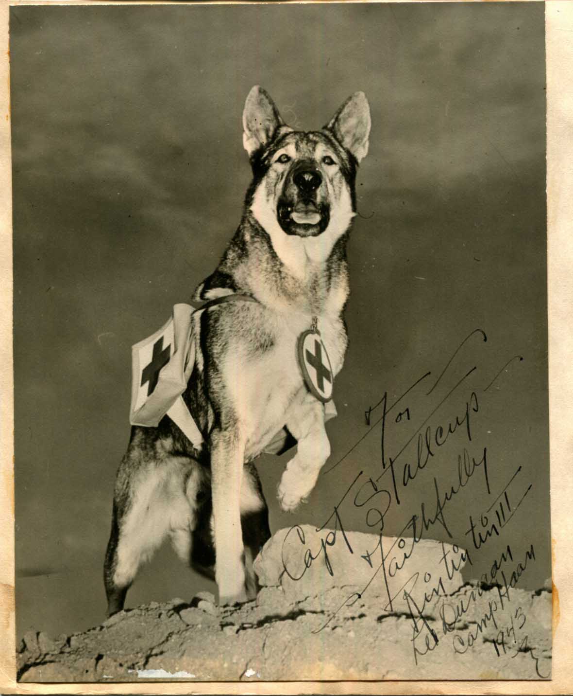 Rin Tin Tin Autograph