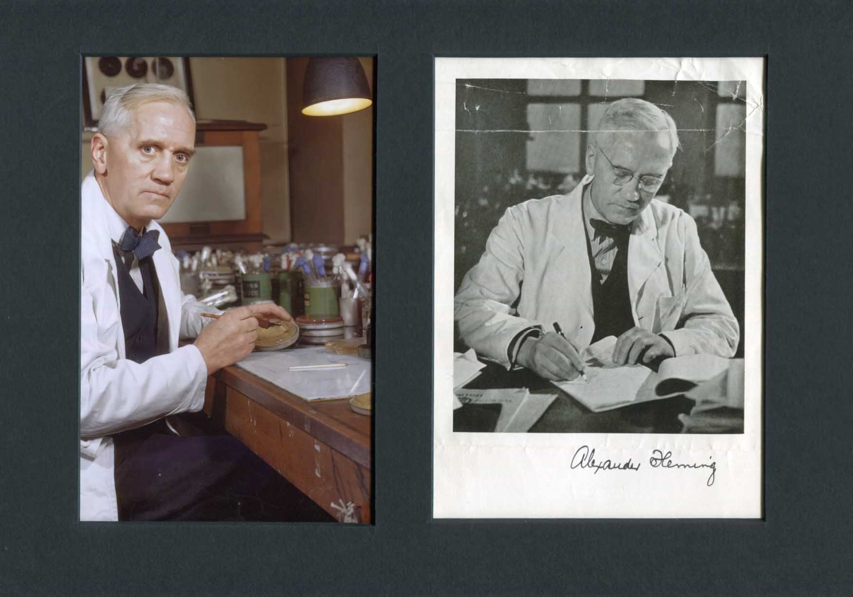 Alexander Fleming Autograph Autogramm | ID 8558473248917