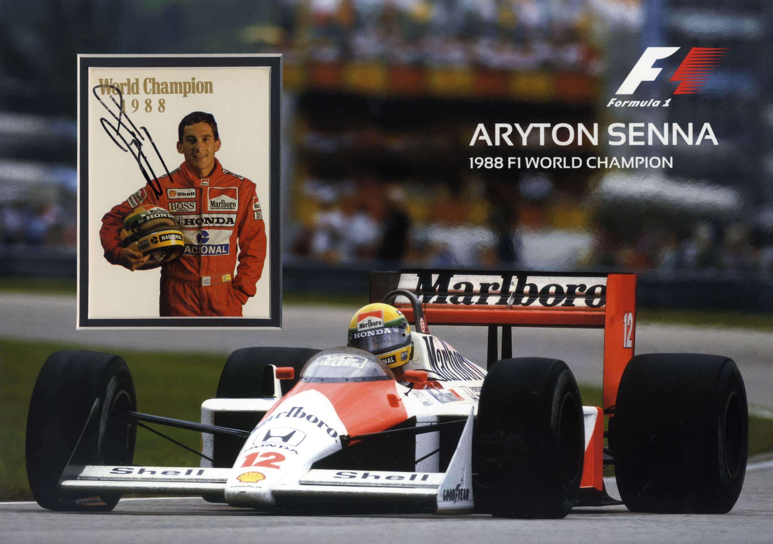 Ayrton Senna Autograph Autogramm | ID 8510301339797