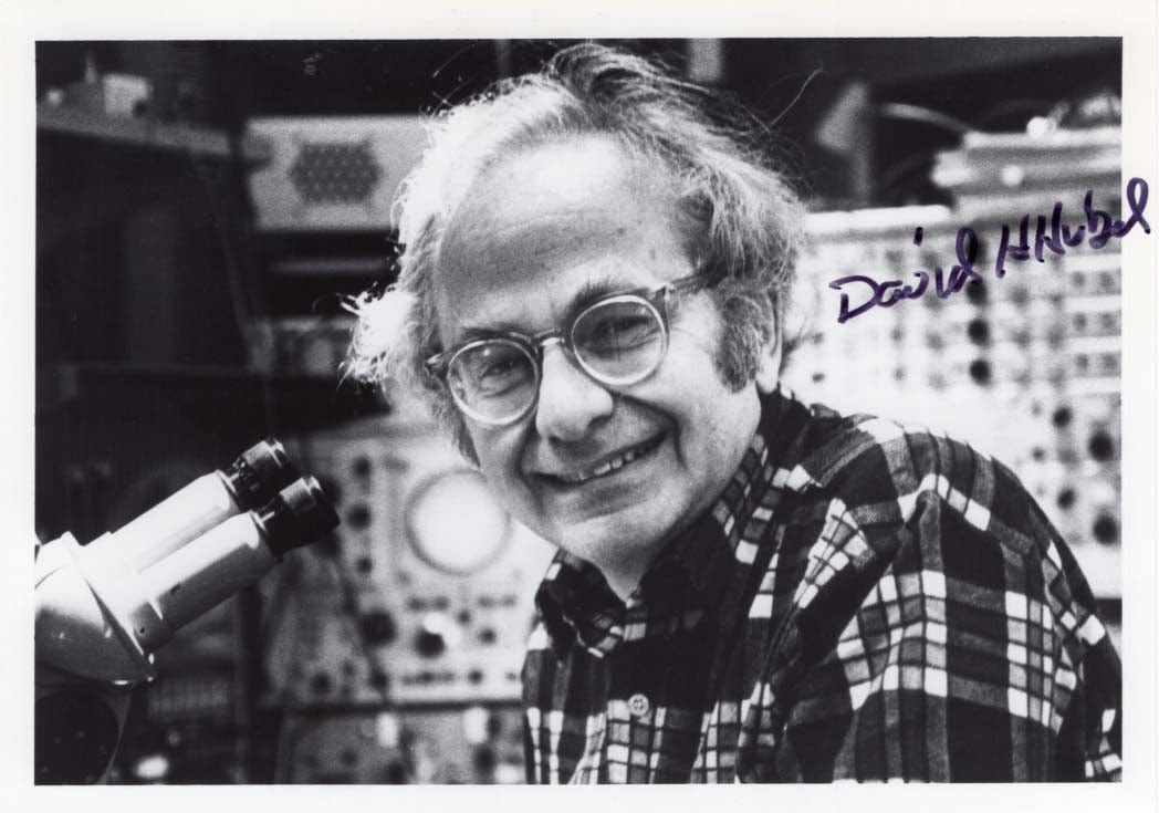 David H. Hubel Autograph Autogramm | ID 7874524020885