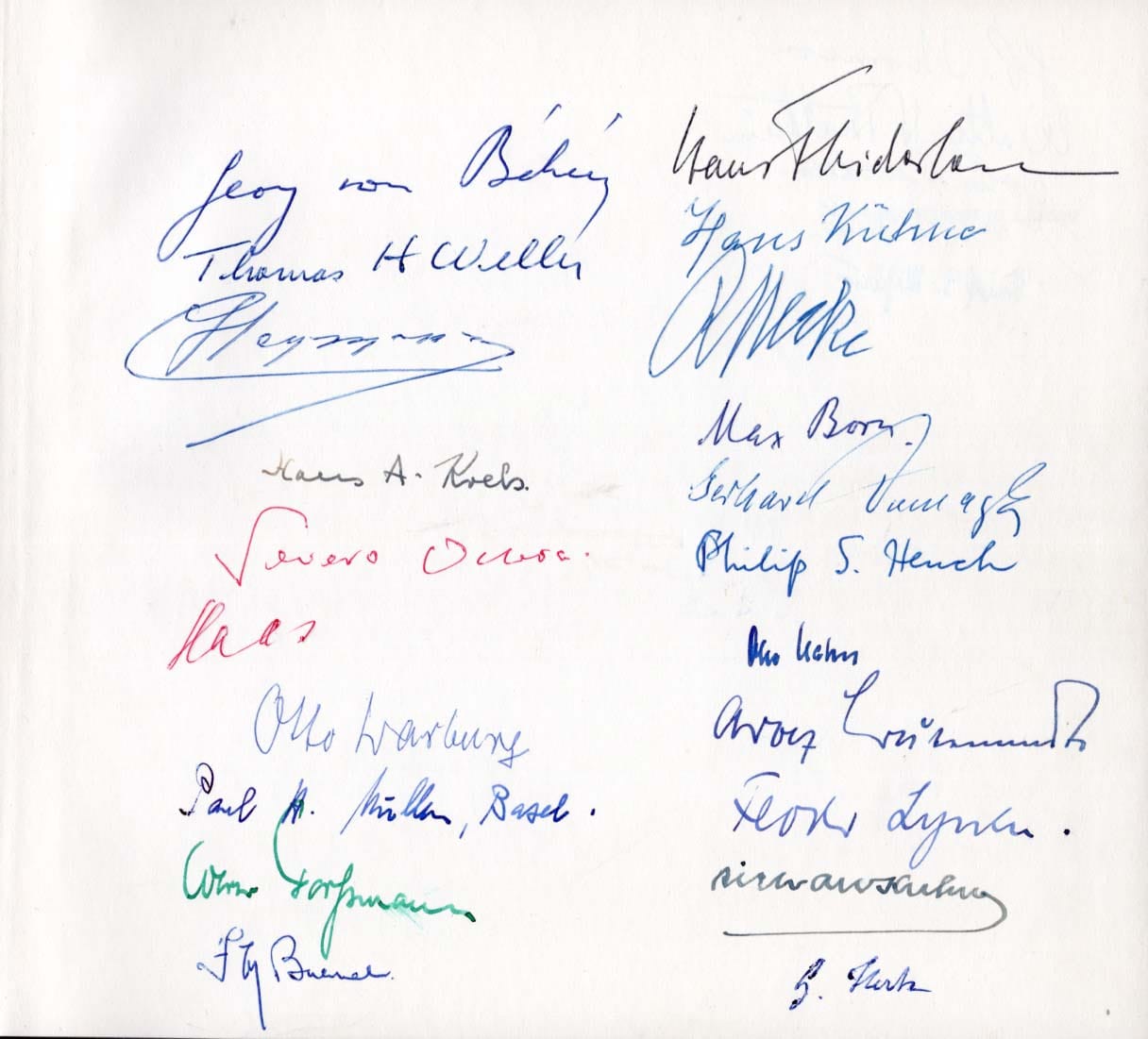 Max, Gerhard, Philip Showalter, Otto &amp; Others Born, Domagk, Hench, Hahn &amp; Others Autograph Autogramm | ID 8279231692949