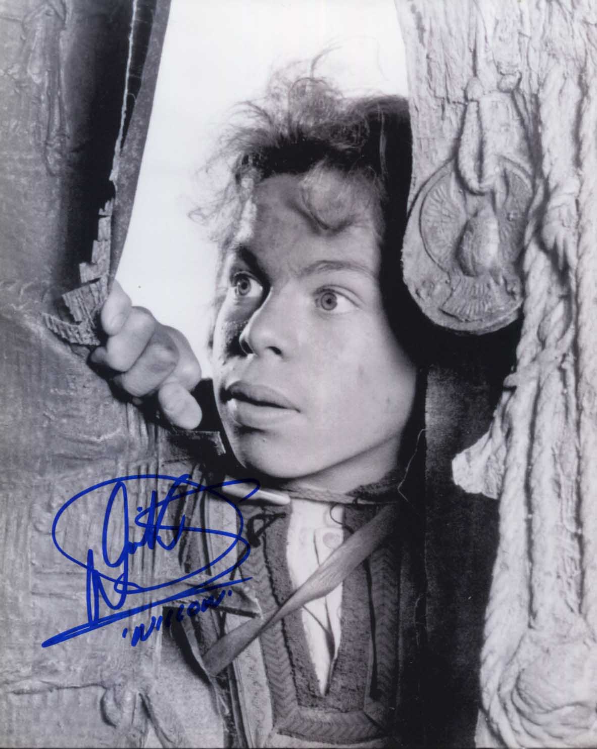 Warwick  Davis Autograph Autogramm | ID 8511077875861