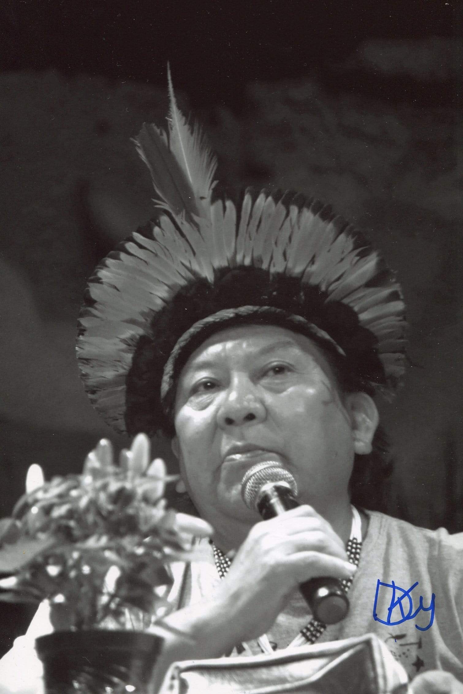 Kopenawa Yanomami, Davi autograph