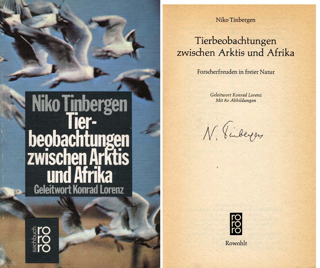 Niko Tinbergen Autograph Autogramm | ID 6962111971477