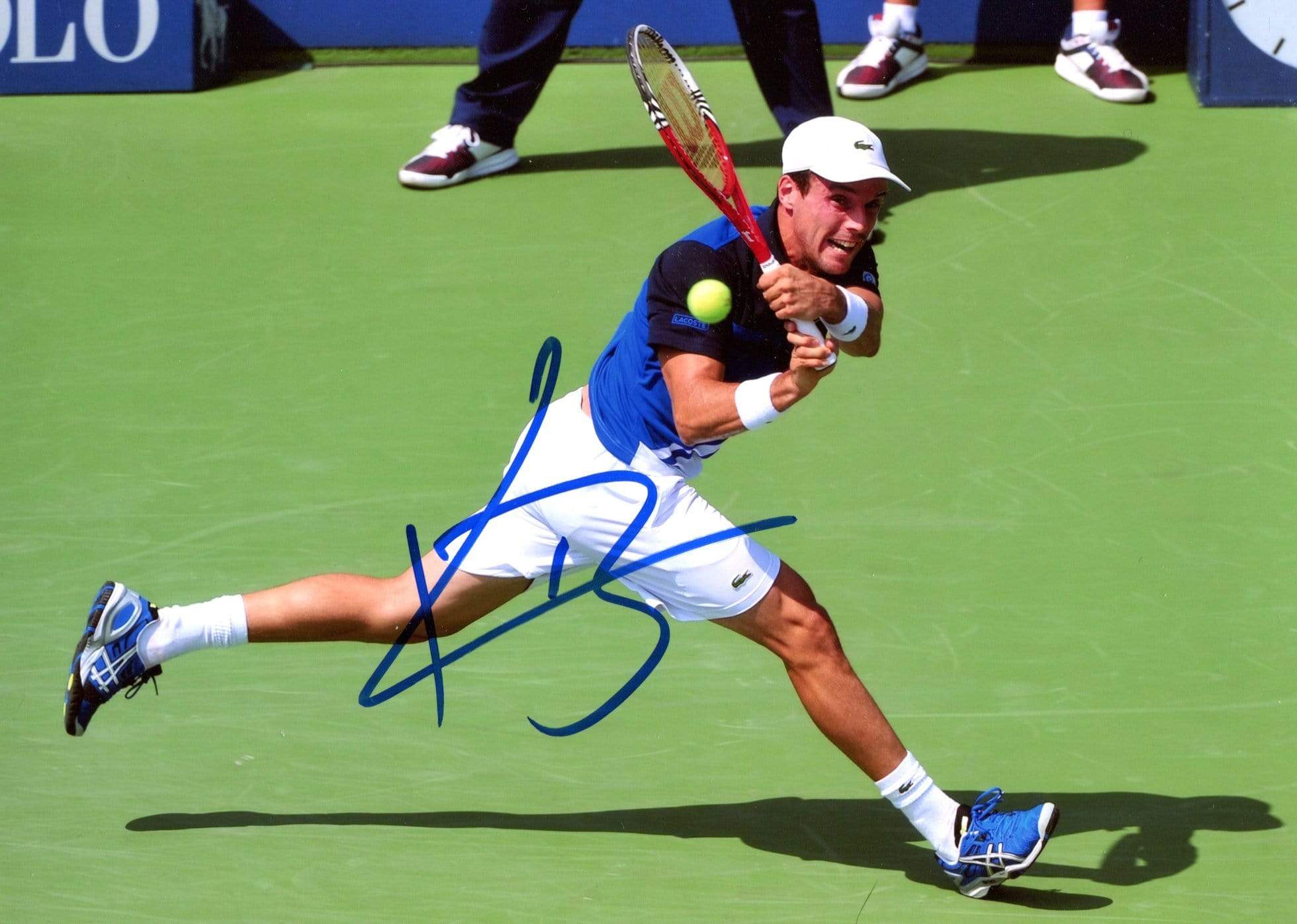 Roberto  Bautista Agut Autograph Autogramm | ID 7062127902869